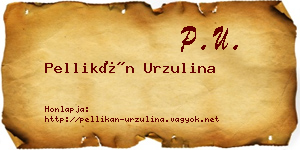Pellikán Urzulina névjegykártya